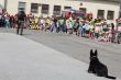 De otvorench dver v trebiovskej posdke vo Vekom