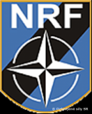 Vojaci z nitrianskeho pr�poru cvi�ia v Nemecku so zahrani�n�mi partnermi