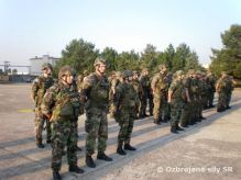 Za�al sa z�vere�n� s�streden� v�cvik multifunk�nej �enijnej roty ISAF 