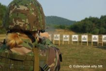 Preverenie profesionality v bojov�ch zru�nostiach