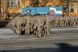 Sl�vnostn� n�stup pred odchodom na plnenie �loh do oper�cie ISAF Afganistan