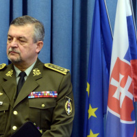 Domaci krizovy manazment