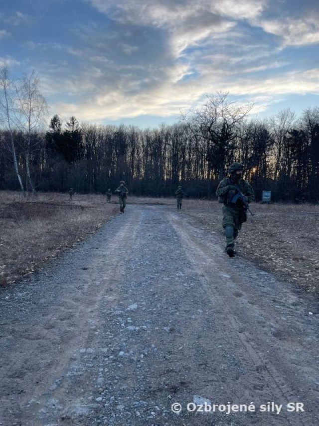 Zimný intenzívny výcvik jednotiek levického práporu 