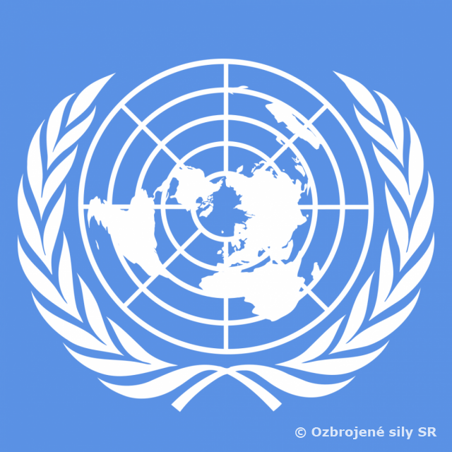 Výcvik jednotky do vojenskej operácie UNFICYP 