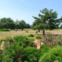 „MAY DAY“ nad Záhorím